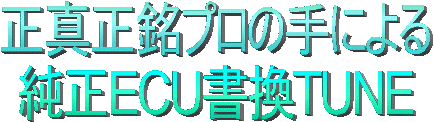 正真正銘プロの手による純正ECU書換TUNE のPAGE
